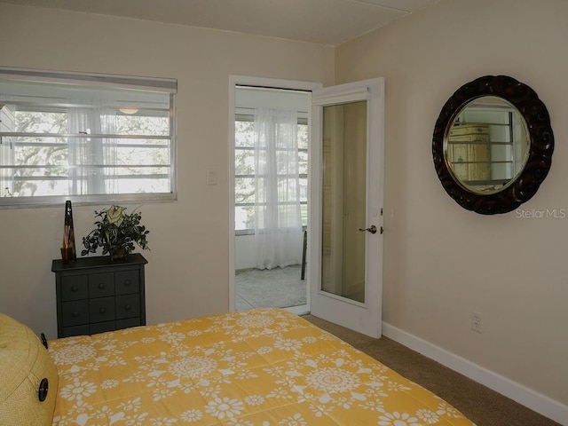 bedroom with carpet