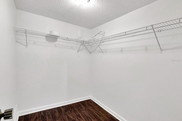 spacious closet featuring hardwood / wood-style flooring