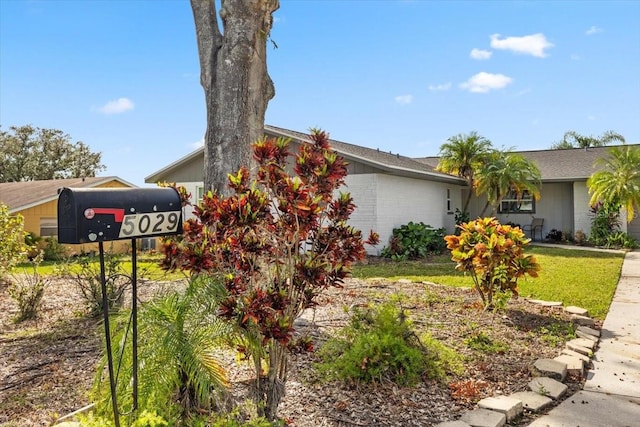 view of front of home with a front yard