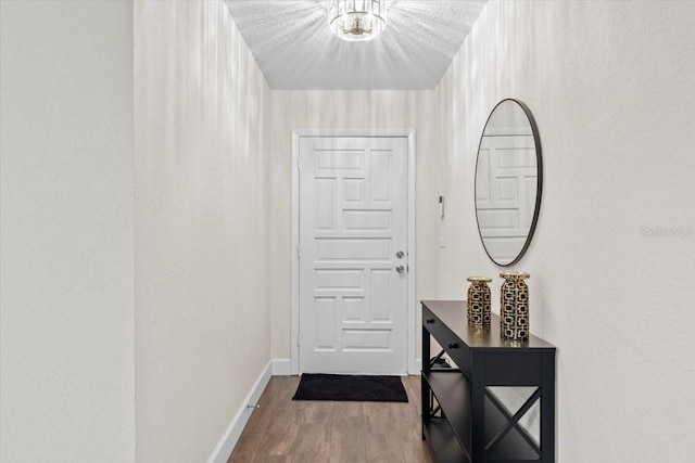 doorway featuring wood-type flooring