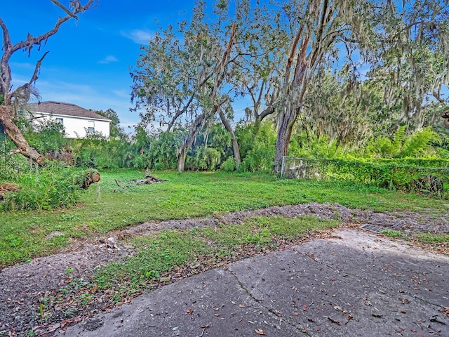 1057 Old S Dr, Lakeland, FL 33811 - photo 38
