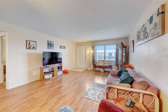 living room with wood-type flooring