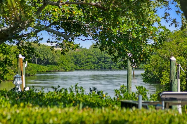 property view of water