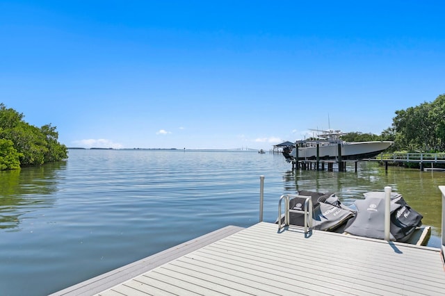 dock area with a water view