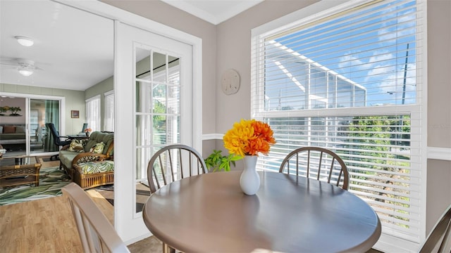 dining room with crown molding, light hardwood / wood-style floors, and ceiling fan