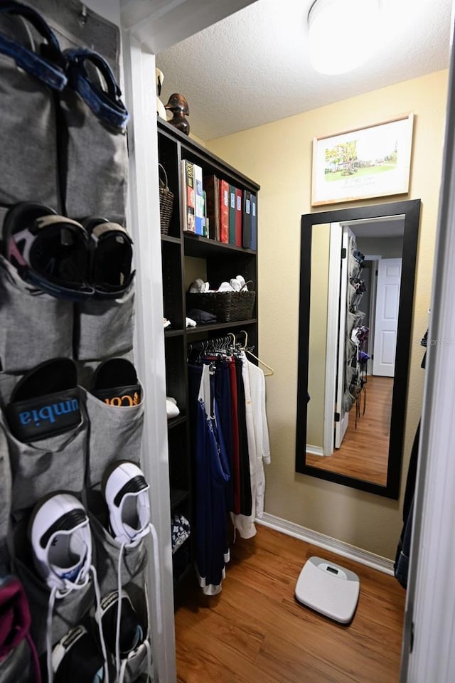 walk in closet featuring wood-type flooring