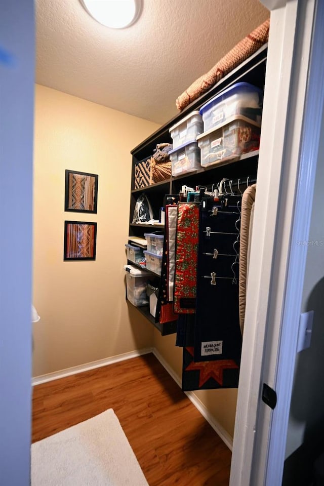 walk in closet featuring wood-type flooring