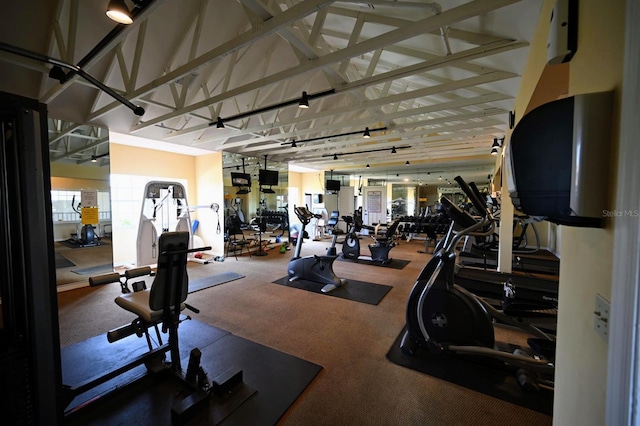 gym with carpet and vaulted ceiling