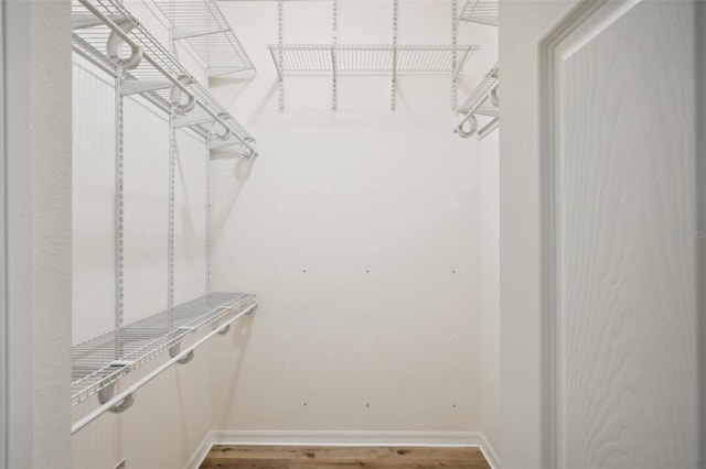 walk in closet with wood-type flooring