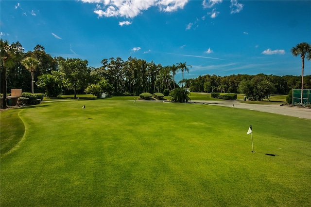 3647 Muirfield Ct, New Port Richey, FL 34655 - surrounding community featuring view of wooded area, a putting green, and golf course view
