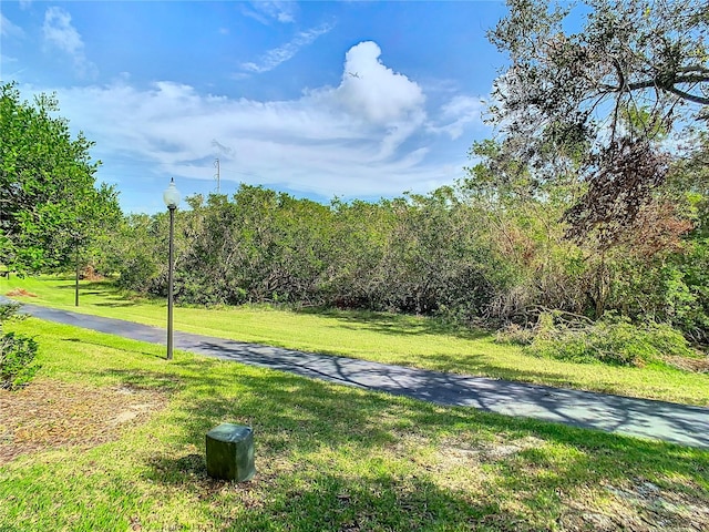 view of home's community featuring a lawn