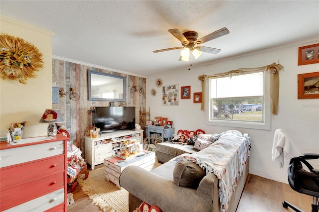 living room featuring ceiling fan, light hardwood / wood-style floors, a textured ceiling, and ornamental molding