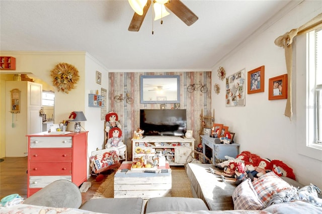 living room featuring ceiling fan, ornamental molding, and a wealth of natural light