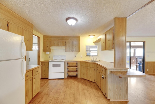 kitchen with white appliances, light hardwood / wood-style floors, and a healthy amount of sunlight