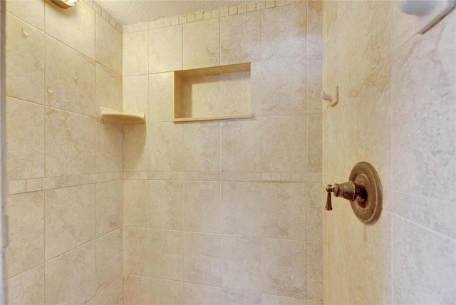 room details with tiled shower