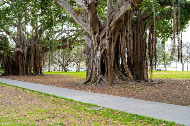 226 5th Ave N Unit 706, Saint Petersburg, FL 33701 - view of surrounding community
