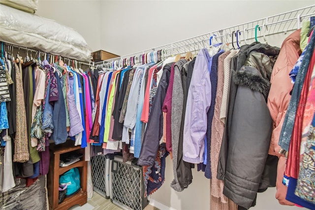 view of walk in closet