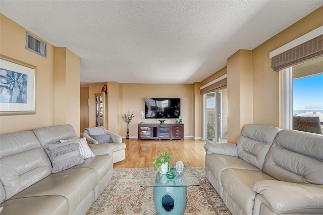 living room featuring hardwood / wood-style floors and a textured ceiling