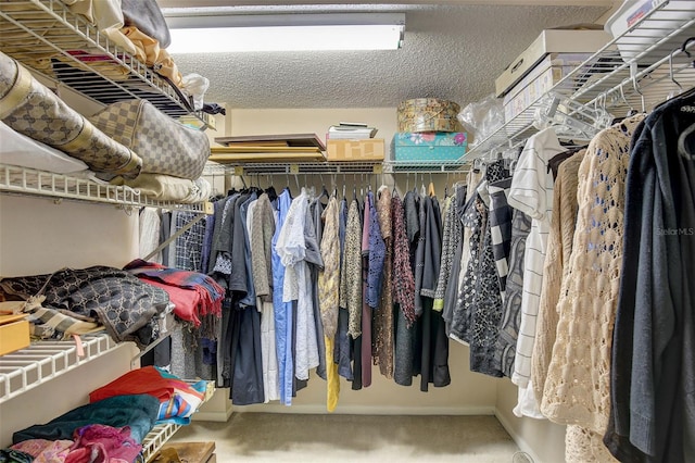 spacious closet featuring carpet