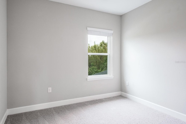 spare room featuring carpet