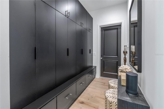 mudroom with light wood-style flooring