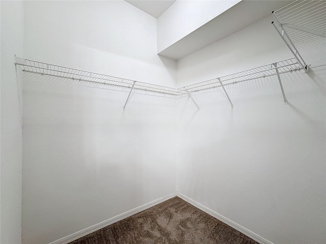 spacious closet with carpet floors