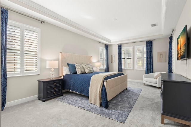 carpeted bedroom featuring multiple windows and a raised ceiling