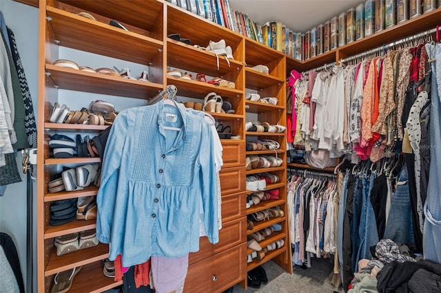 spacious closet featuring carpet floors