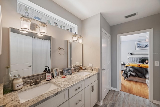 bathroom featuring wood-type flooring and vanity