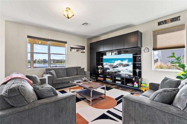 living room featuring dark hardwood / wood-style flooring