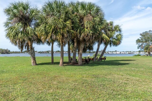 0 Silhouette Ln, Holiday, FL 34691 - photo 12