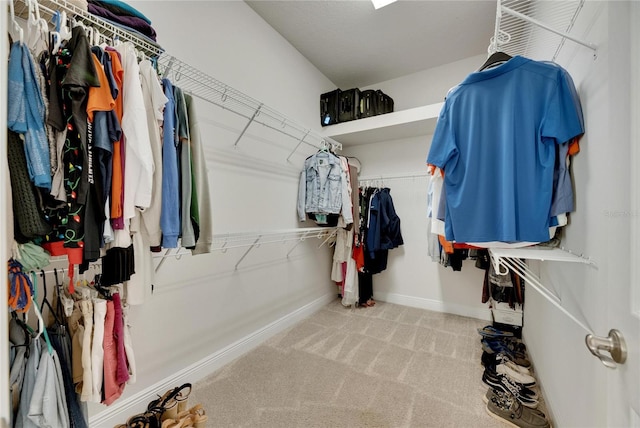 walk in closet with carpet flooring