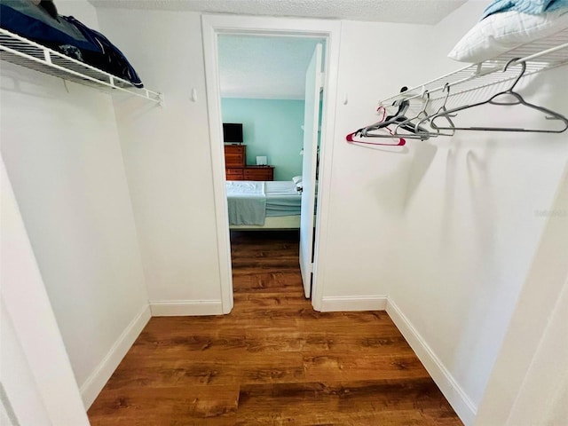 spacious closet with dark hardwood / wood-style flooring