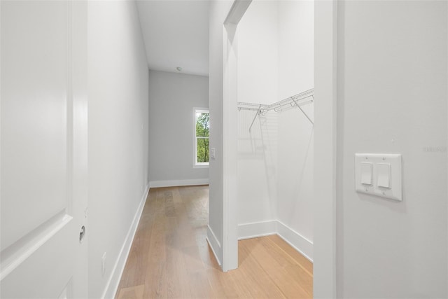 walk in closet with light wood-type flooring