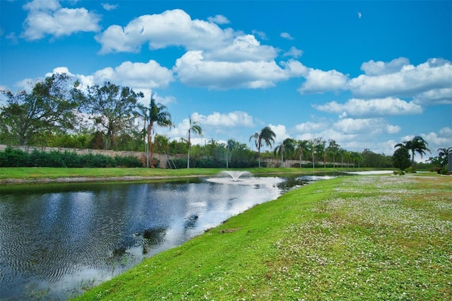 water view