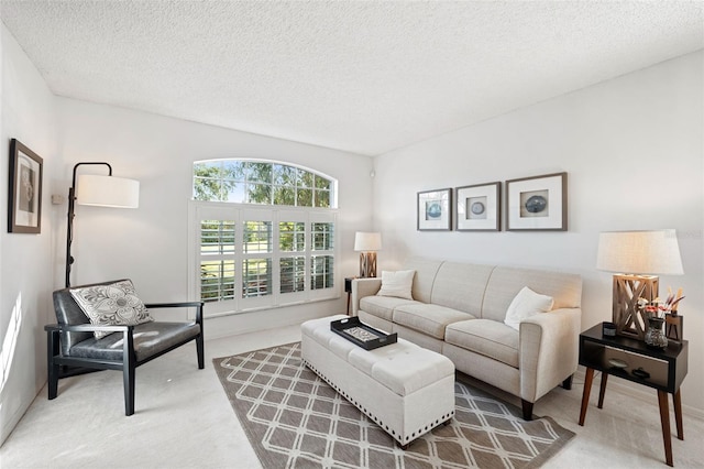 living room with carpet floors and a textured ceiling