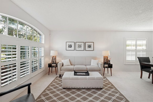 living room featuring carpet flooring and a textured ceiling