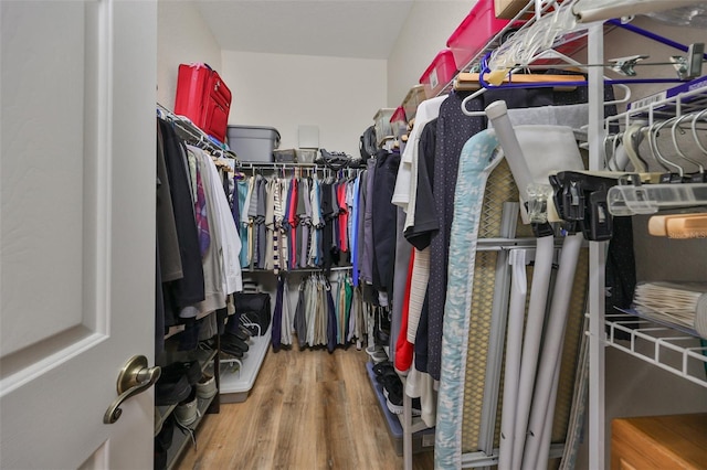 spacious closet with wood-type flooring