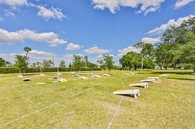 view of community with a lawn