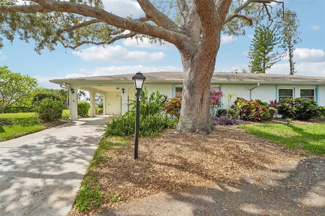 view of front of property with driveway and stucco siding