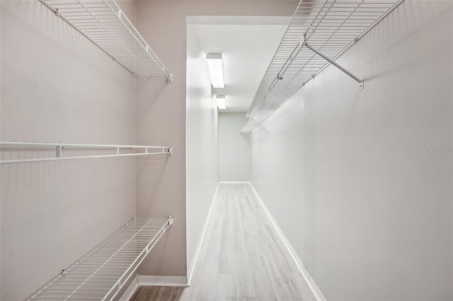 walk in closet featuring wood-type flooring