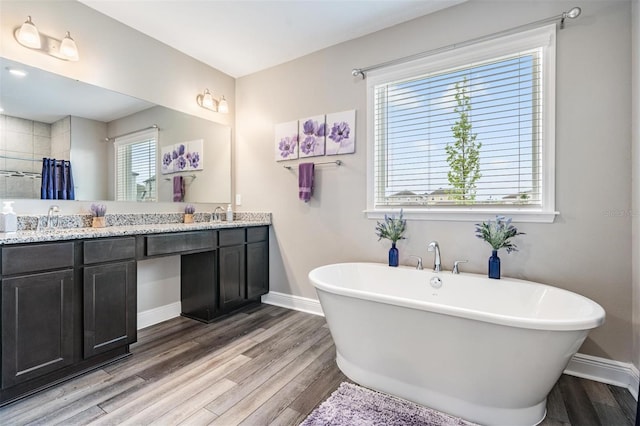 bathroom featuring wood-type flooring, vanity, and independent shower and bath