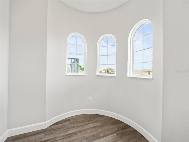 interior space with a wealth of natural light and hardwood / wood-style floors