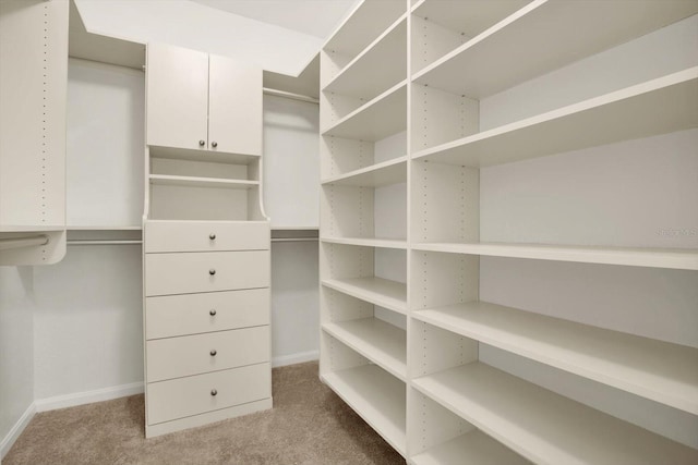 walk in closet featuring light colored carpet