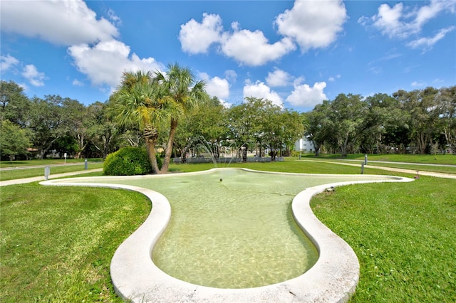 view of property's community featuring a lawn