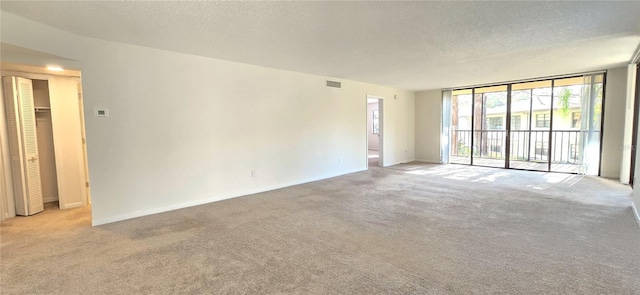 carpeted spare room with a textured ceiling