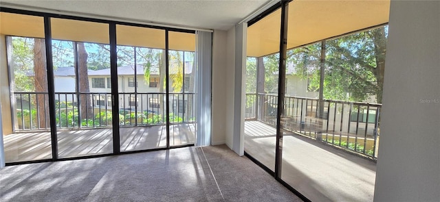 doorway with carpet, a wall of windows, and plenty of natural light