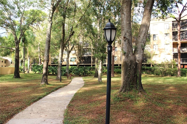 view of home's community with a yard