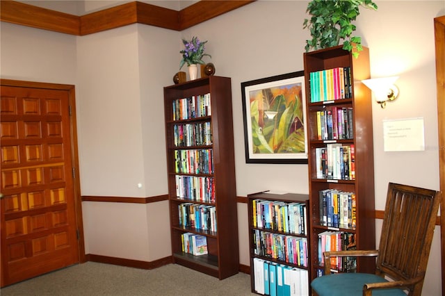 living area with carpet