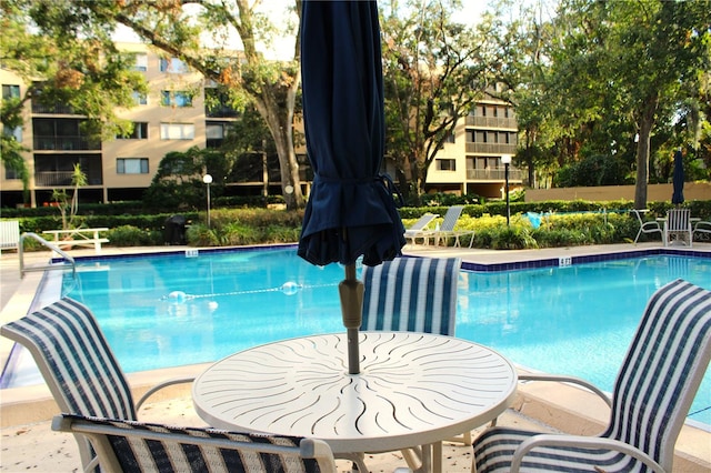 view of swimming pool with a patio